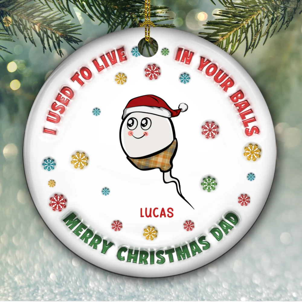I Used To Live In Your Balls - Personalized Custom 3D Inflated Effect Ceramic Ornament - Image 6